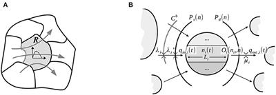 Dynamics of Flow Merging and Diverging in MFD-Based Systems: Validation vs. Microsimulation